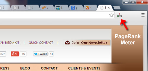 Google PageRank Meter