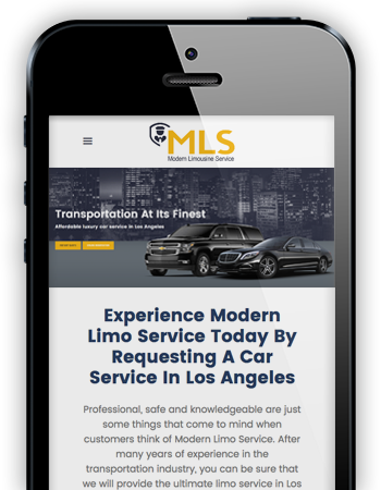 Modern Limousine Service